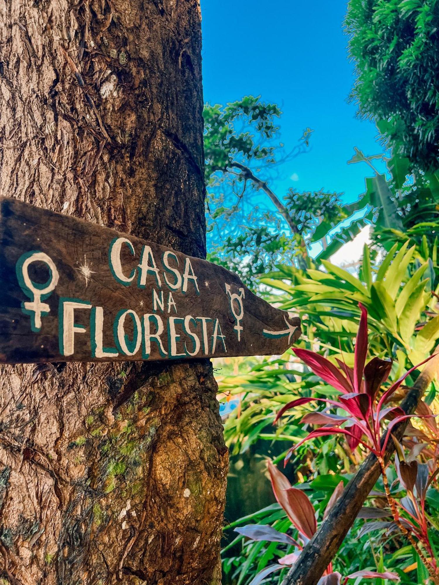 Hostel Zen - Casa Na Floresta Itacare Luaran gambar