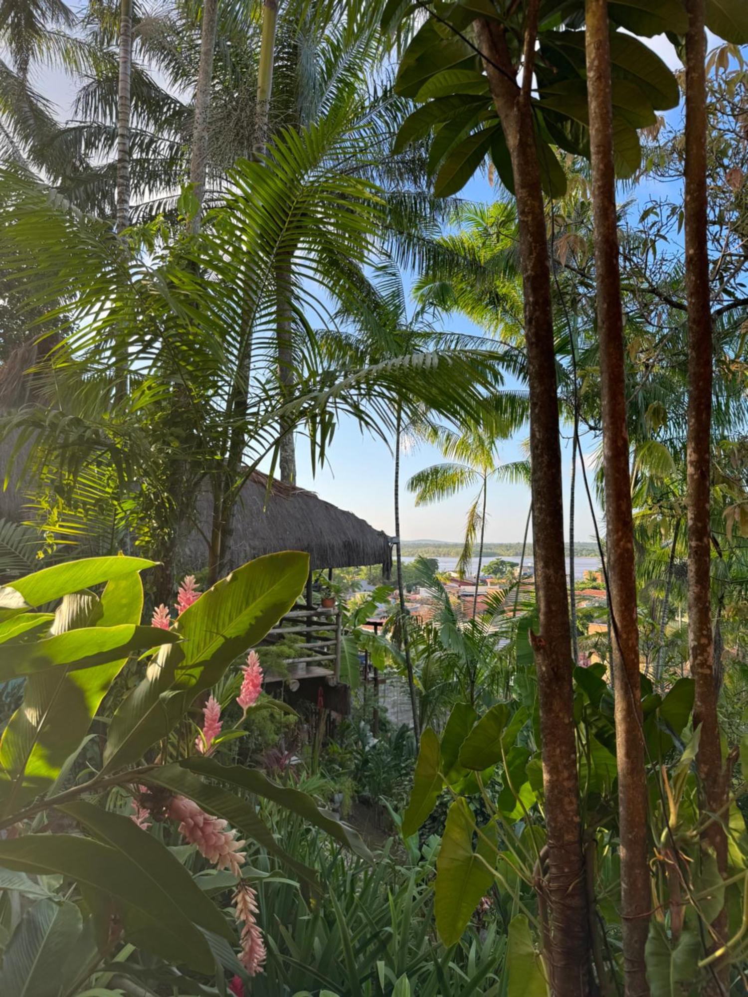 Hostel Zen - Casa Na Floresta Itacare Luaran gambar