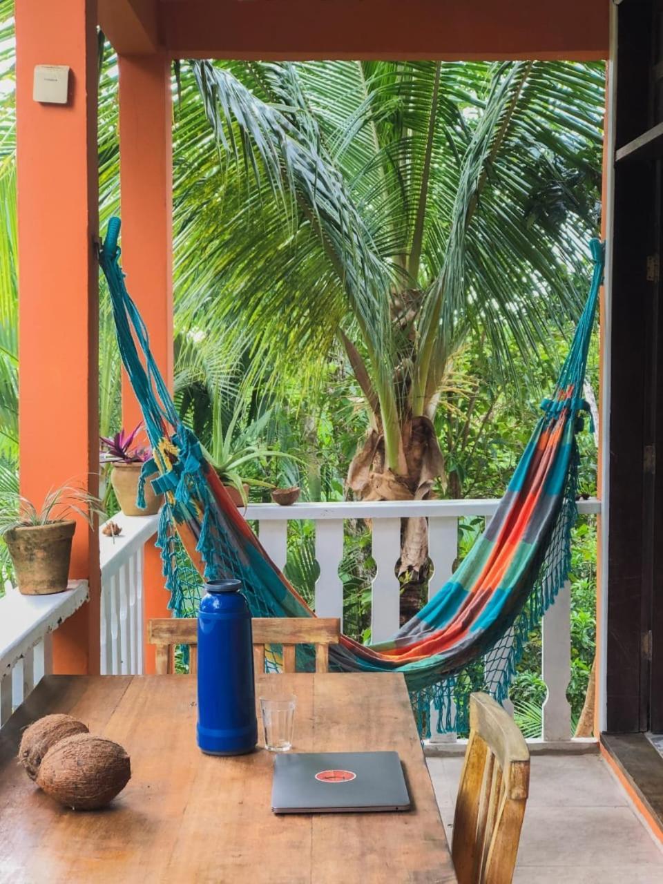 Hostel Zen - Casa Na Floresta Itacare Luaran gambar