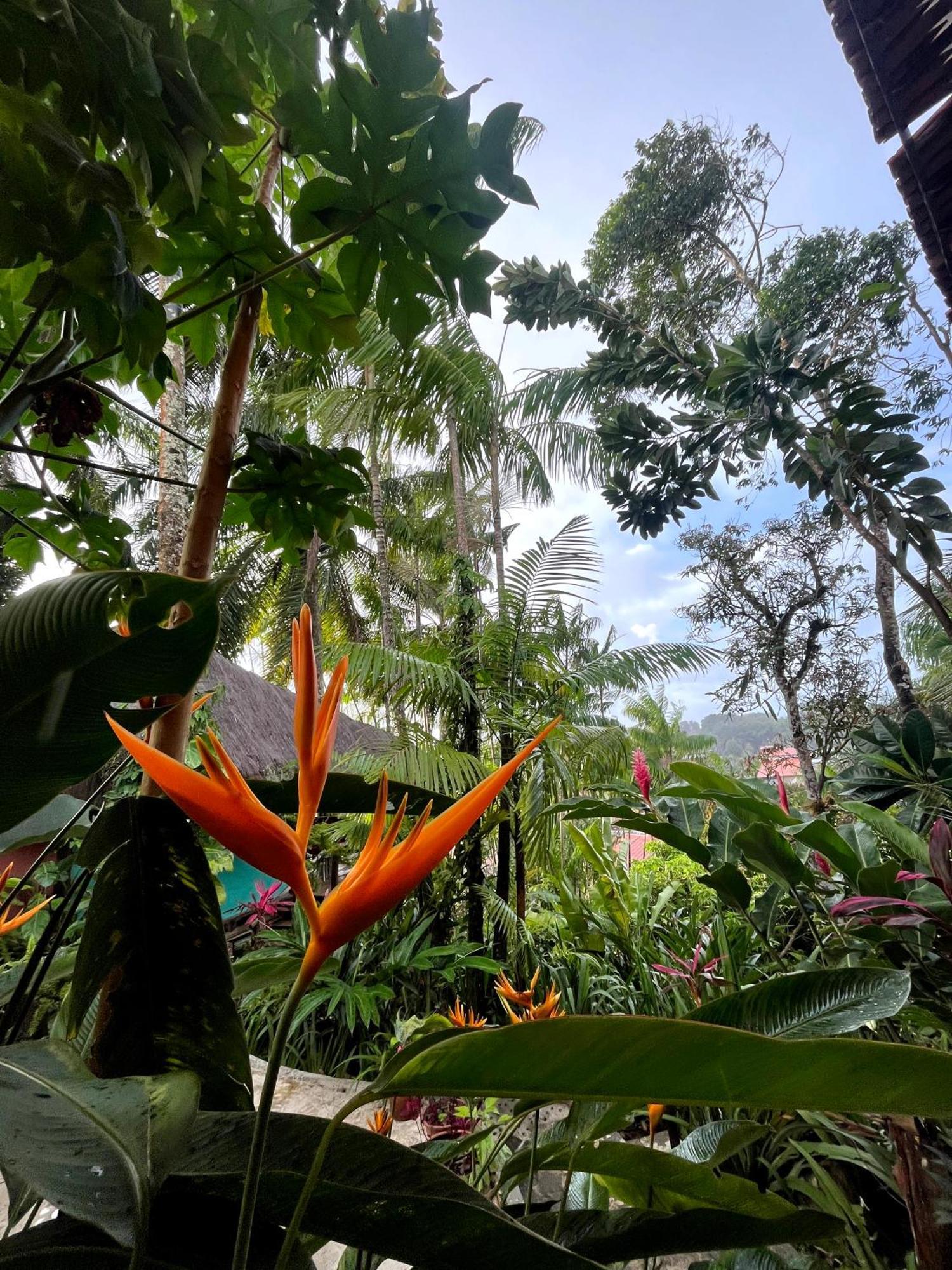 Hostel Zen - Casa Na Floresta Itacare Luaran gambar